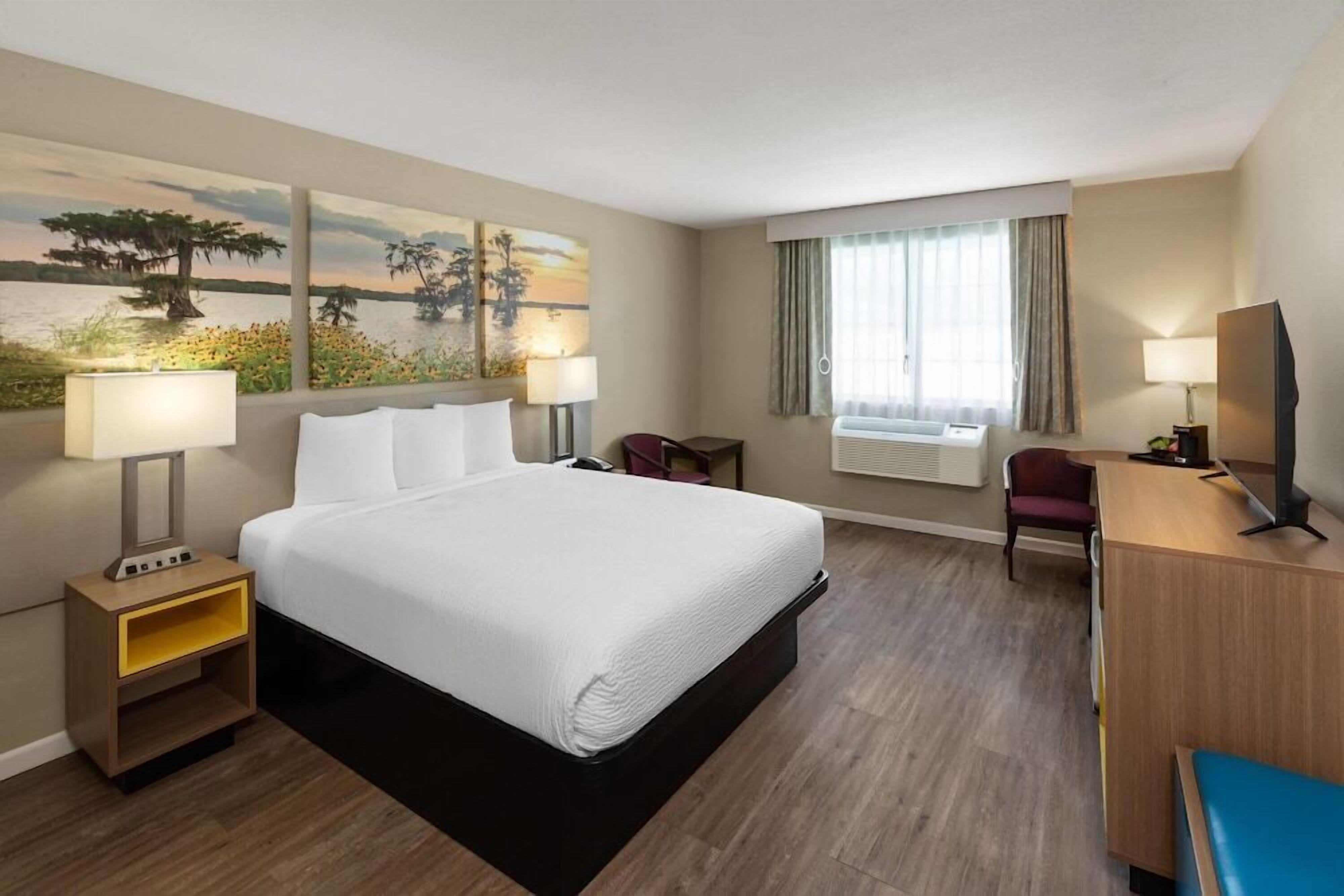 Premium bedding, blackout drapes, iron/ironing board, rollaway beds