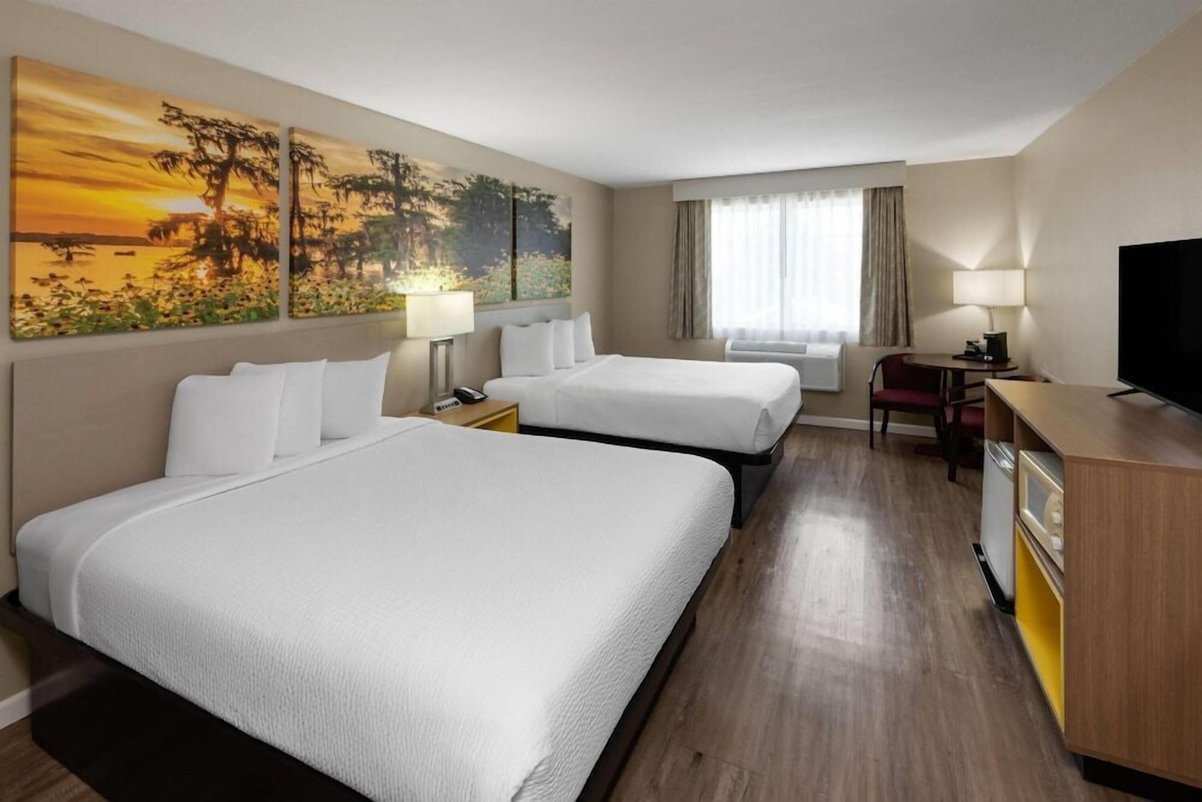 Premium bedding, blackout drapes, iron/ironing board, rollaway beds