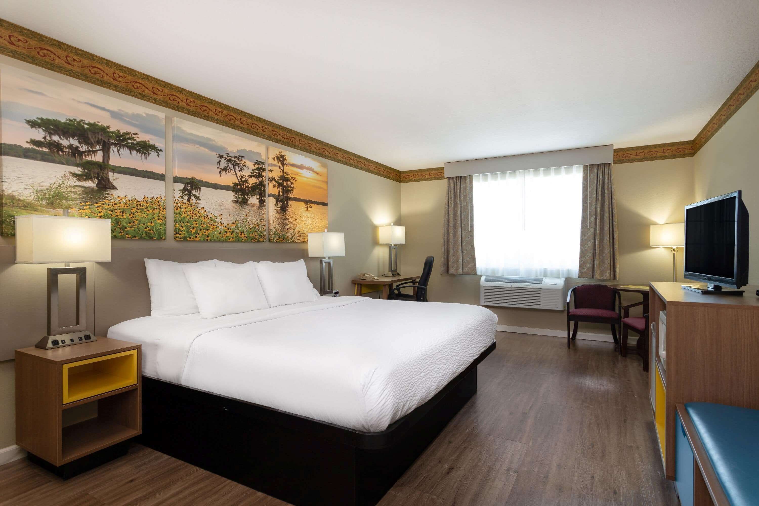 Premium bedding, blackout drapes, iron/ironing board, rollaway beds