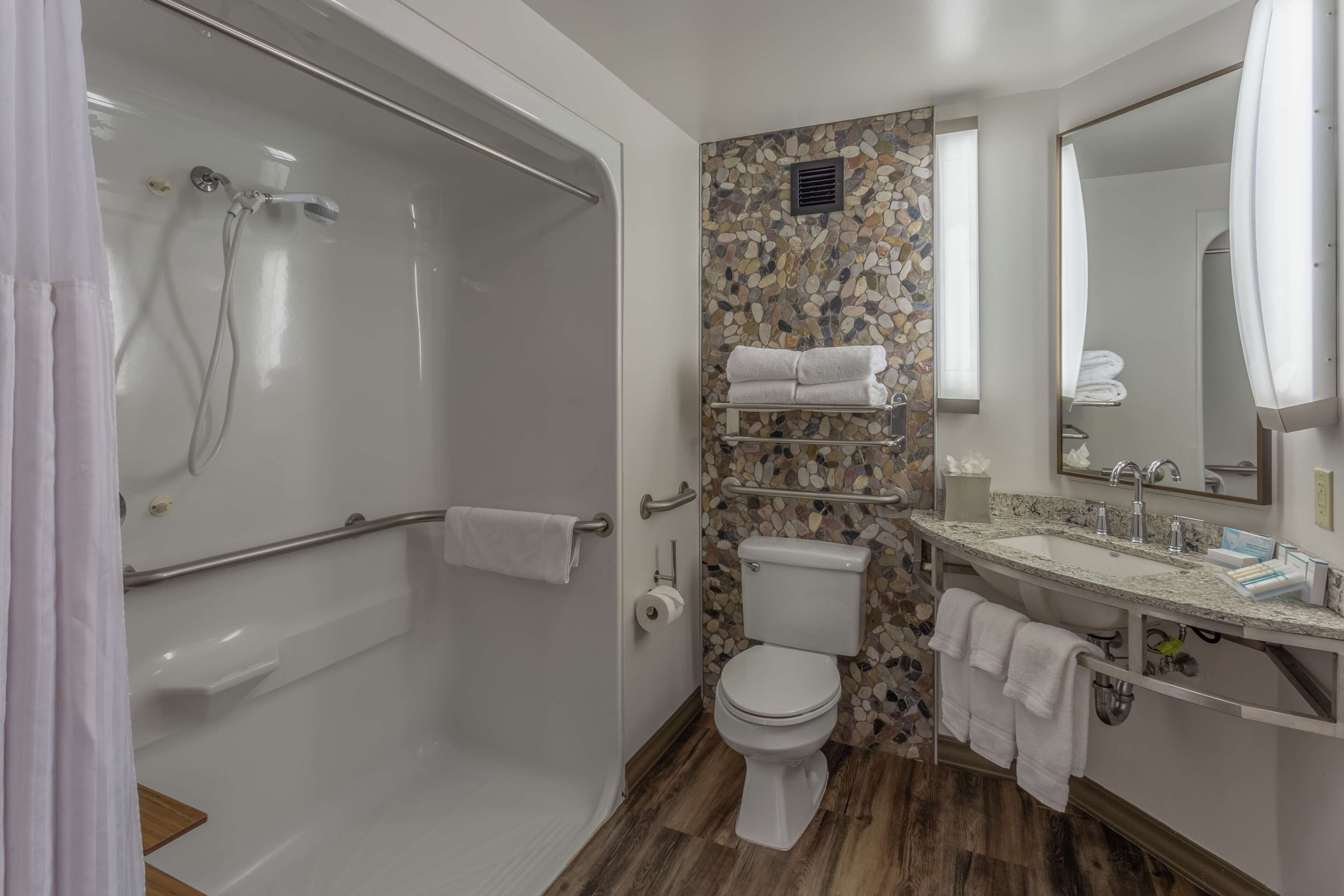 room, accessible | bathroom shower