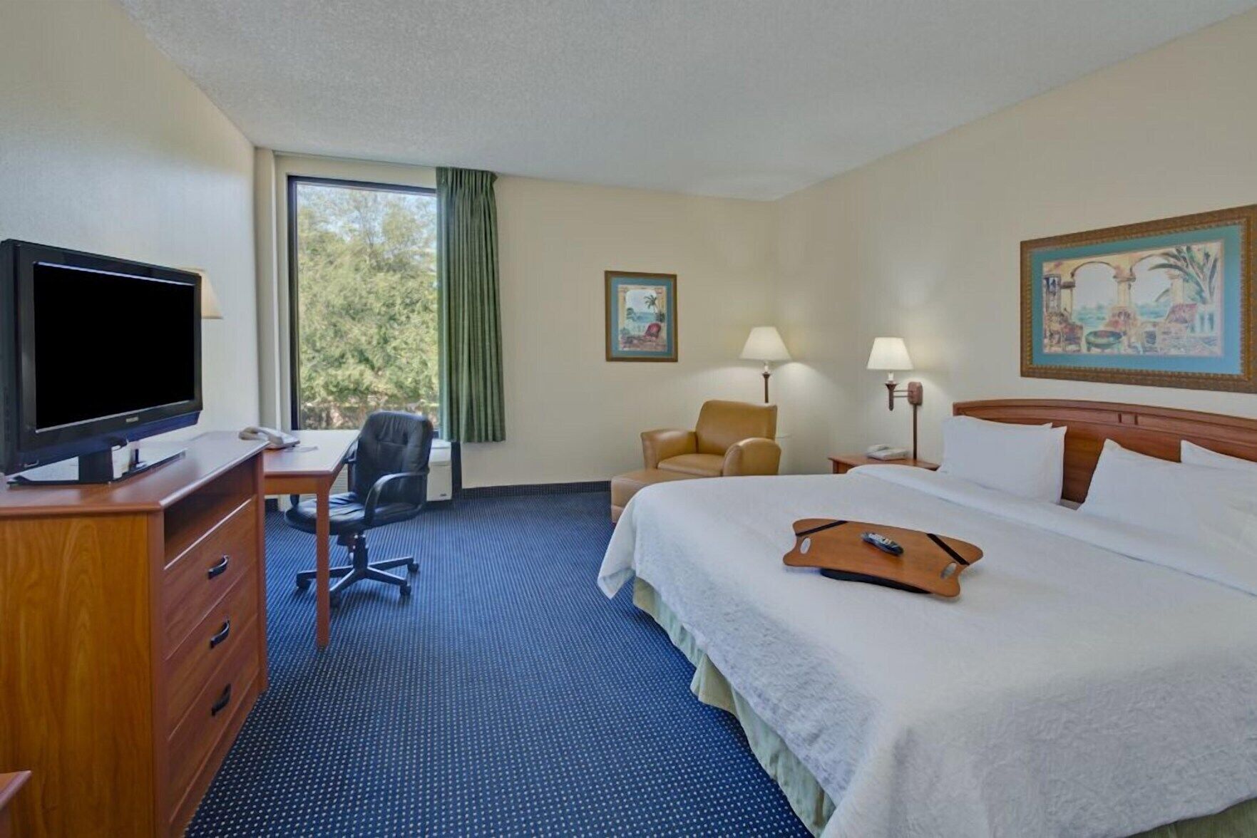 Premium bedding, desk, iron/ironing board, free WiFi
