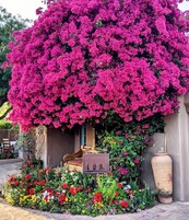 Breakfast, lunch, dinner served; American cuisine 