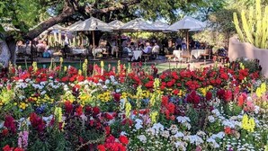 Un espace de restauration en plein air, avec des tables et des parasols, entouré d’une variété de fleurs aux couleurs vives.