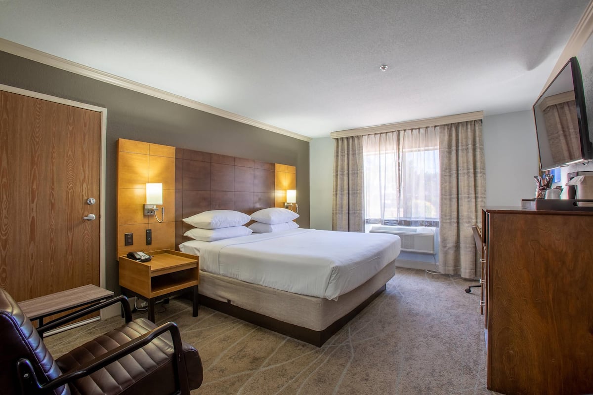 Standard Room 1 Queen Bed, 1st Floor, Non-Smoking (Small Room) | Premium bedding, pillowtop beds, in-room safe, desk