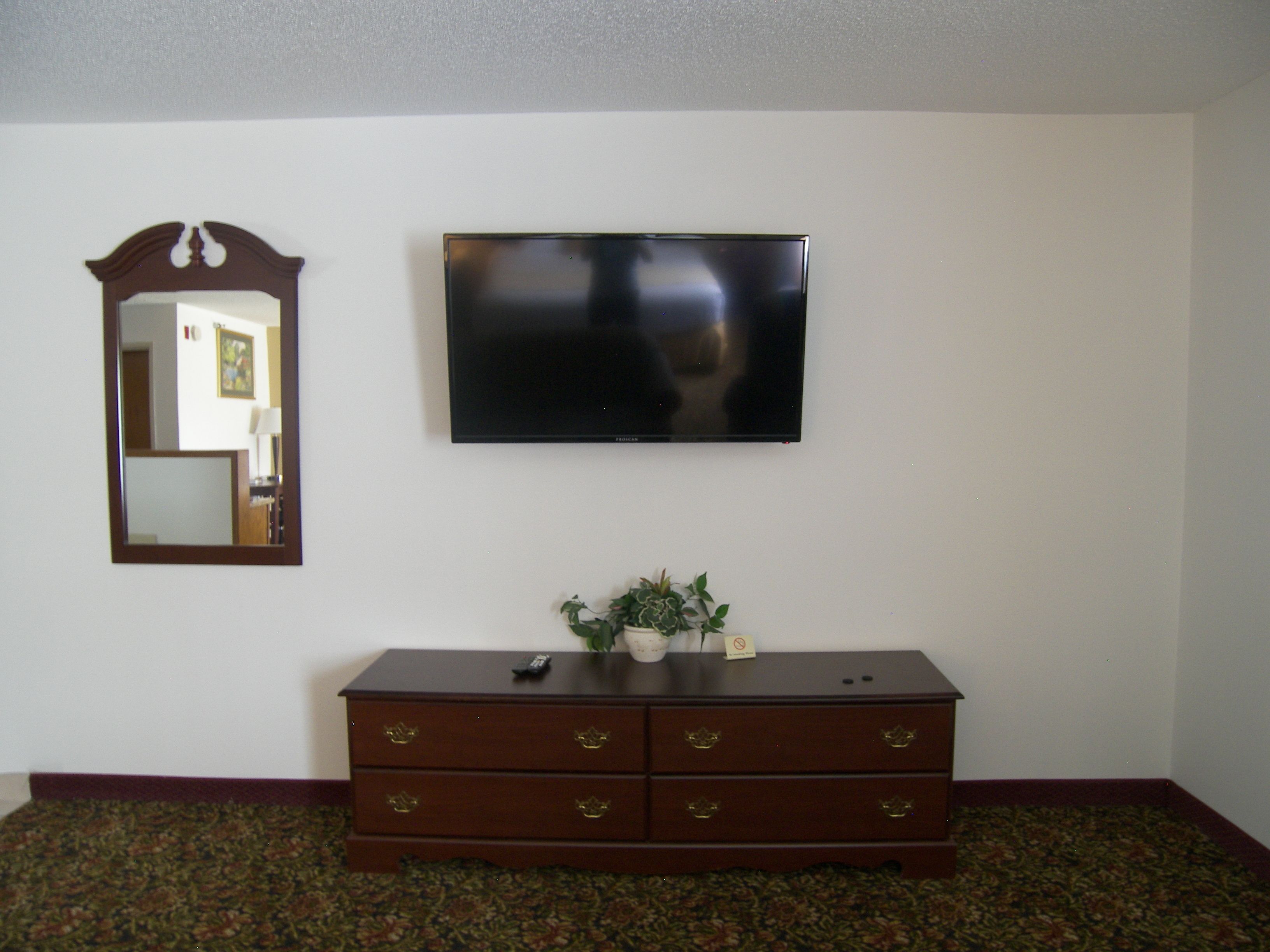 suite, 1 king bed, non smoking | television