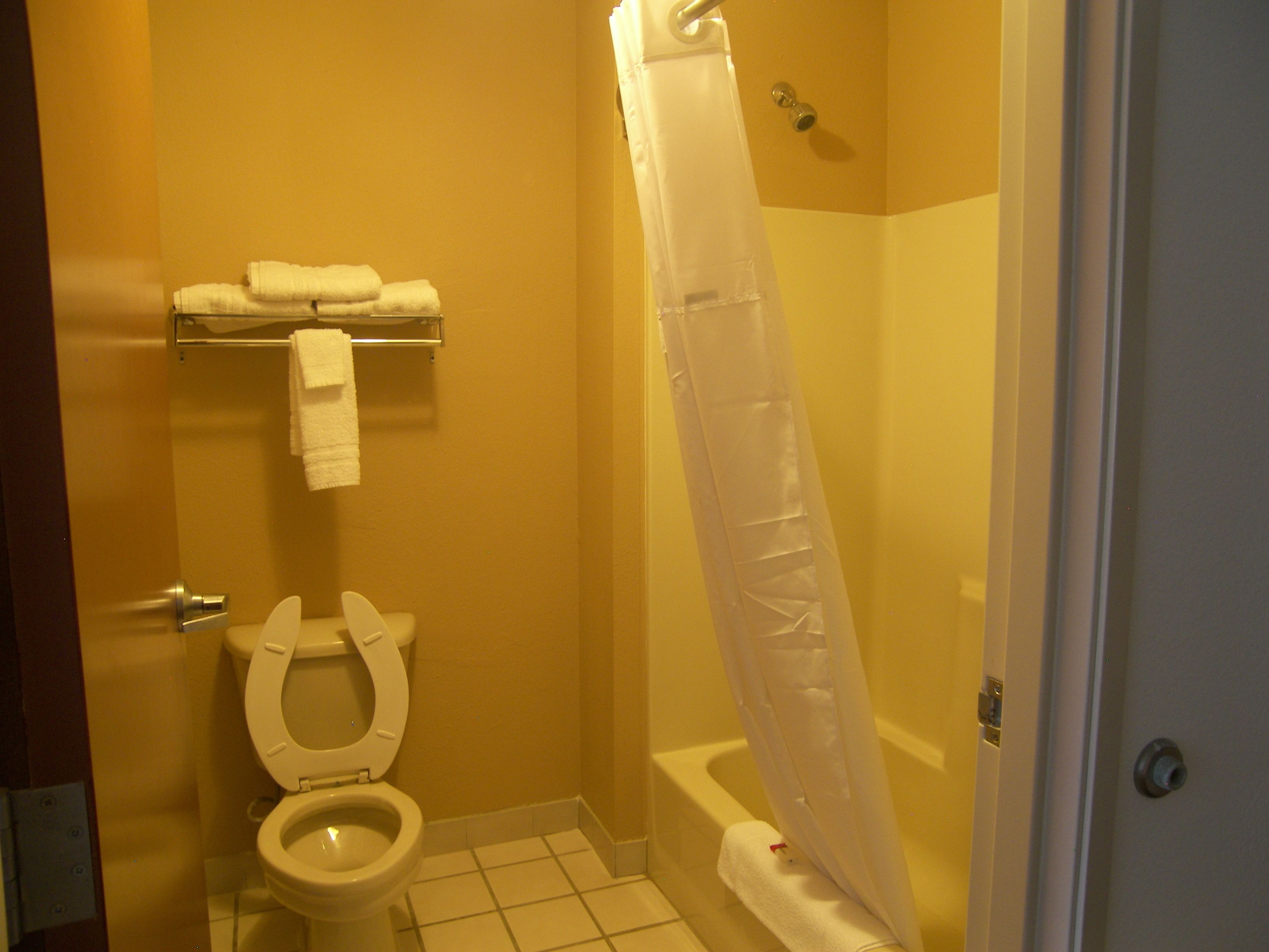 Une salle de bain avec des toilettes, un rideau de douche et un porte-serviettes.