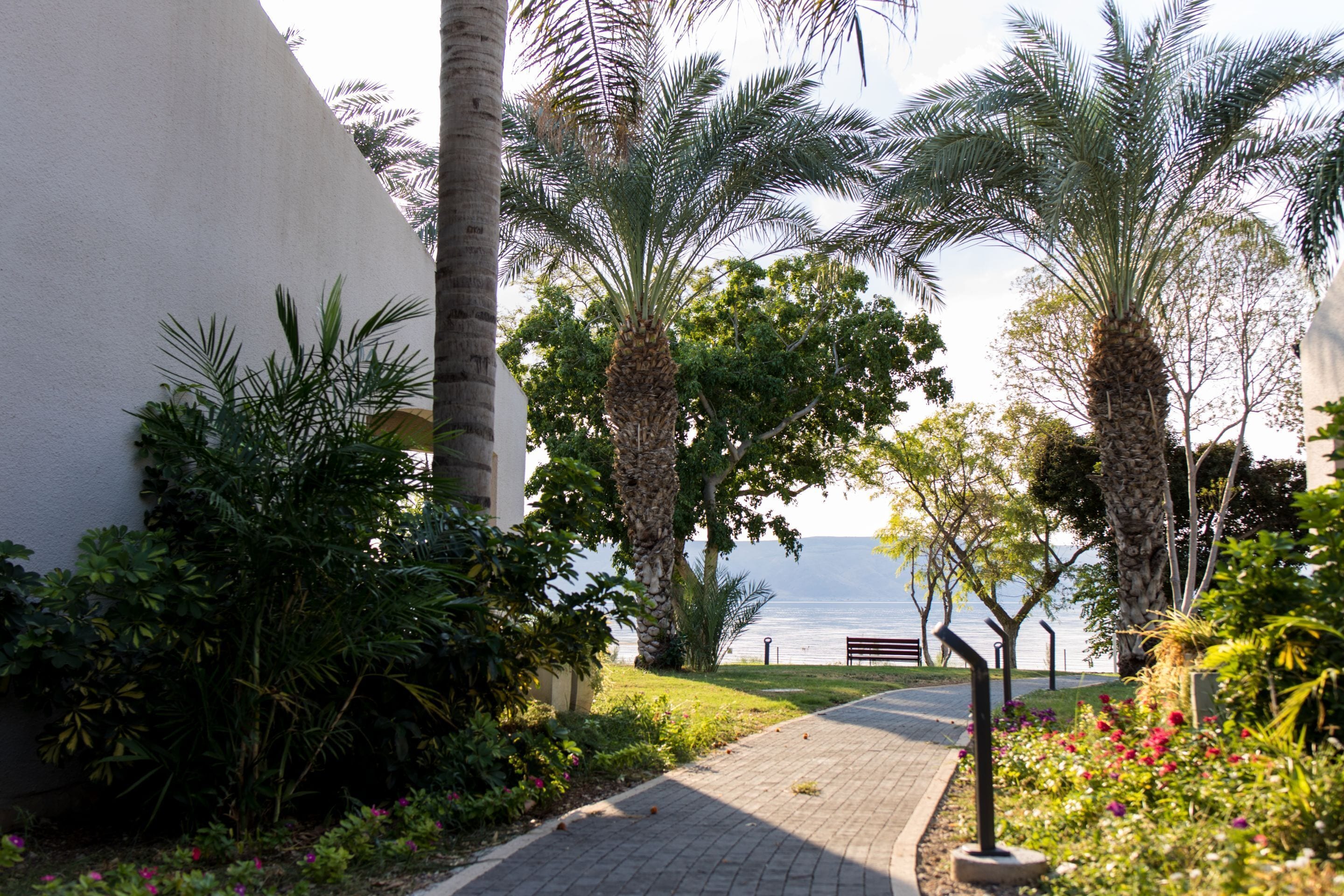 view room  | lake view