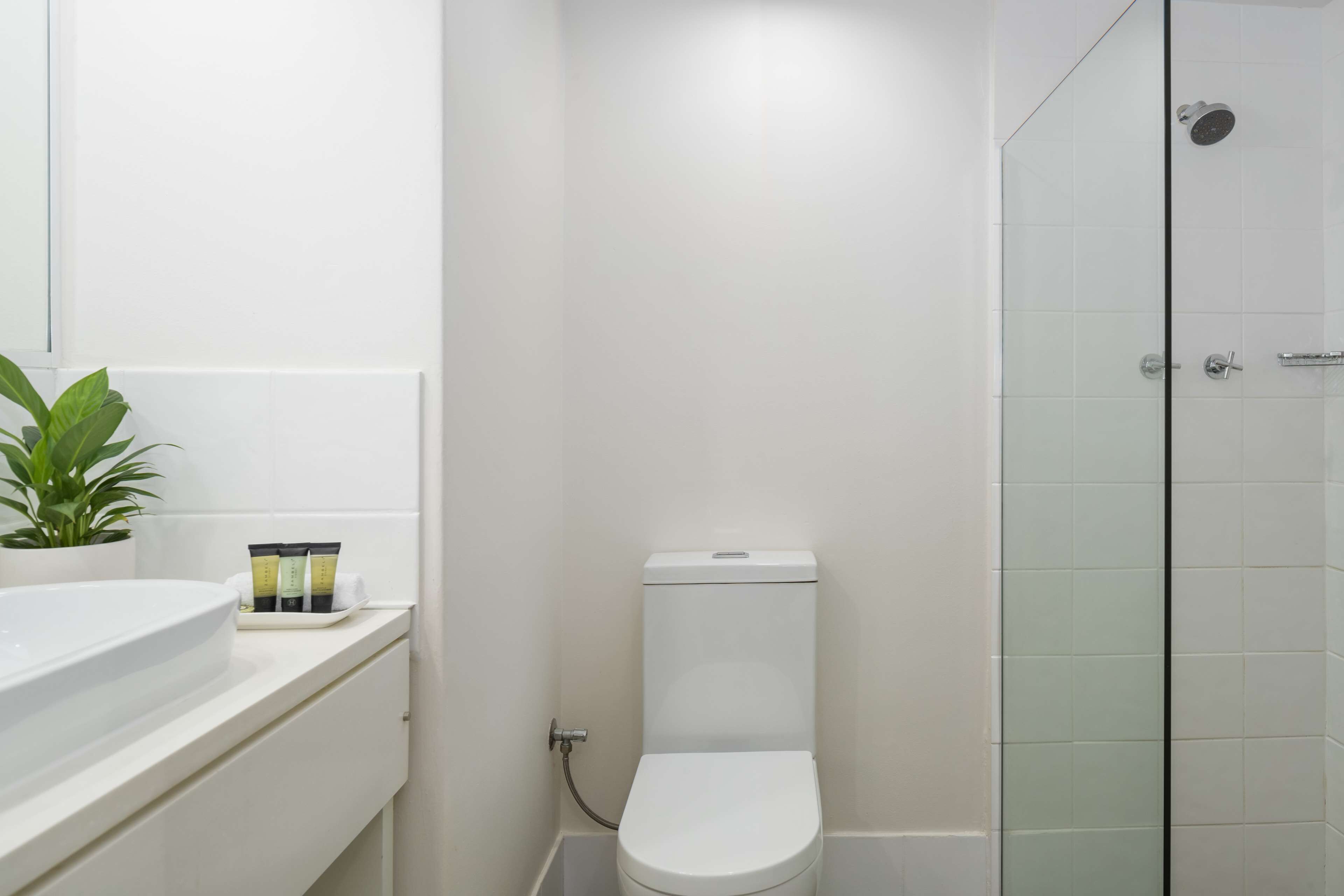 shower, free toiletries, hair dryer, towels