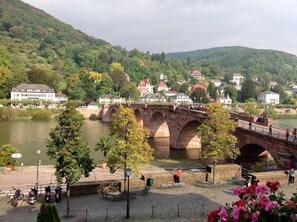 Double Room Neckar View | View from room