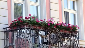 A balcony with wrought iron railings and pink flowers. - City Partner Hotel Holländer Hof (Heidelberg)