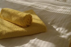 Desk, free cribs/infant beds, rollaway beds, free WiFi