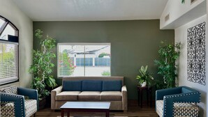 A living room with a sofa, two armchairs, a coffee table, and several potted plants.