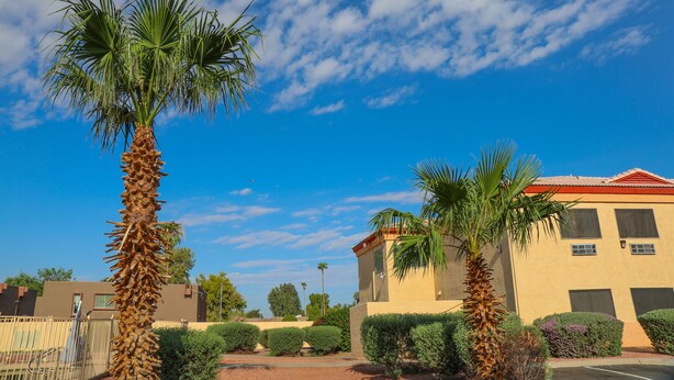 A building with a red roof, surrounded by palm trees and well-maintained bushes.