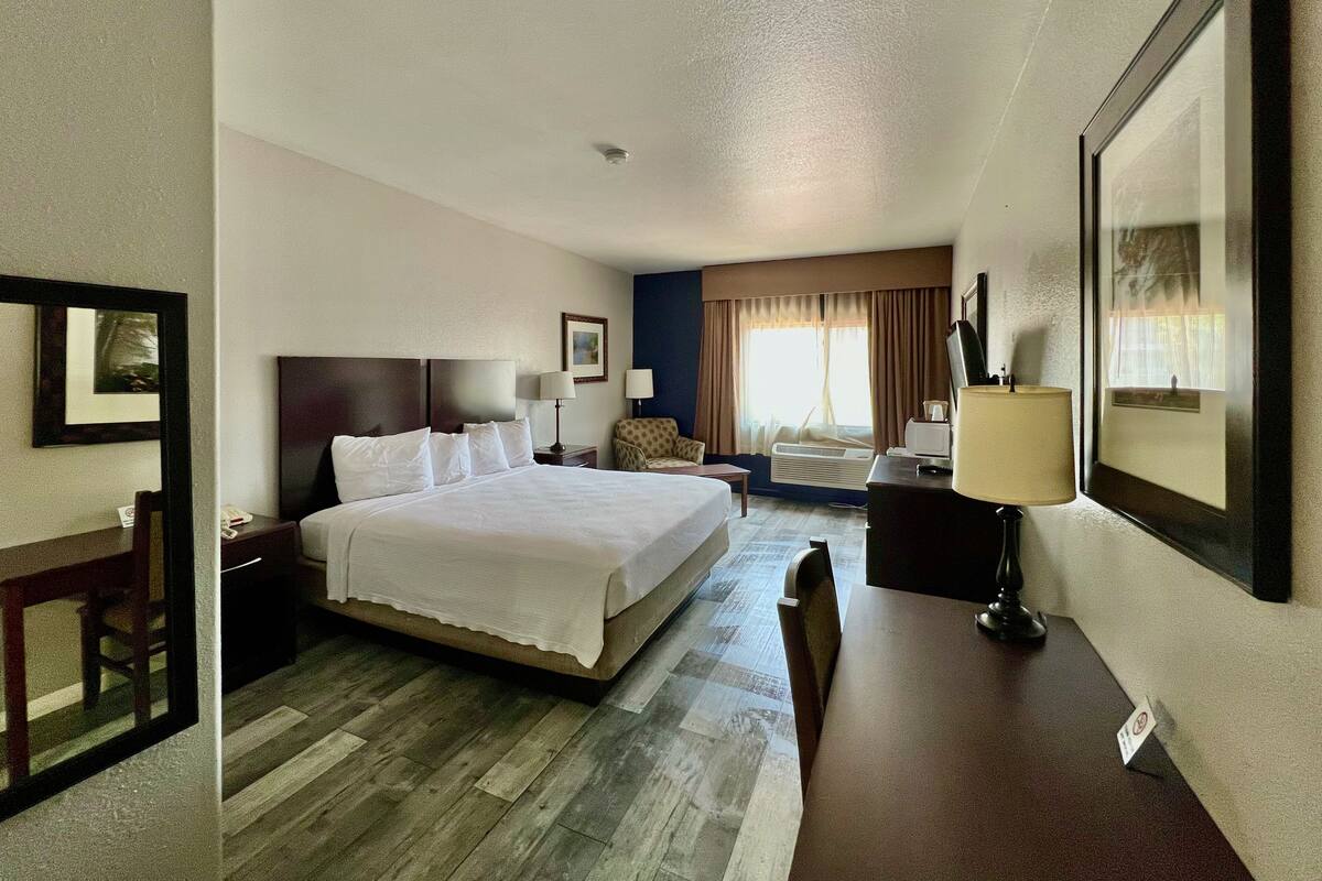 Standard Room, 1 King Bed | Desk, iron/ironing board (on request), WiFi (free)