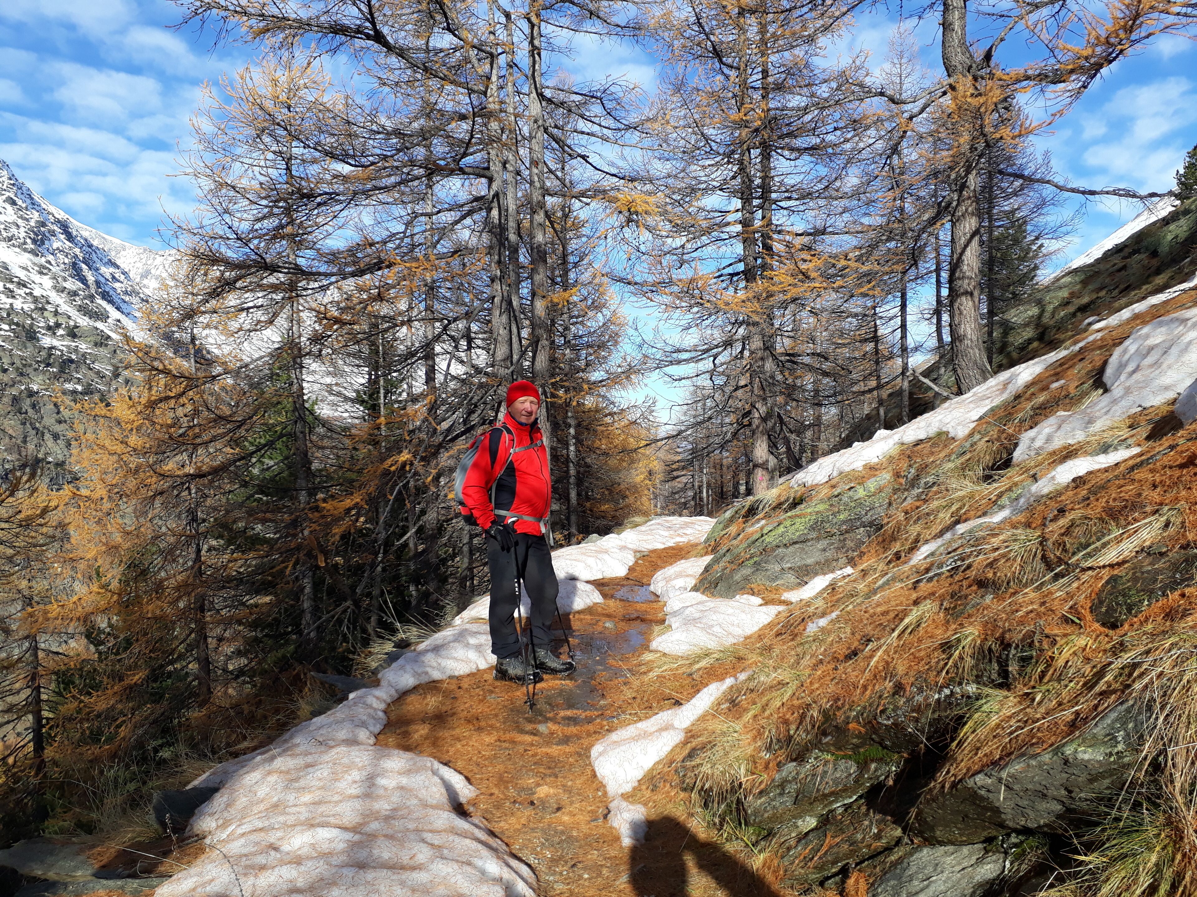 Een persoon wandelt over een met sneeuw bedekt pad, omringd door bomen en bergen.
