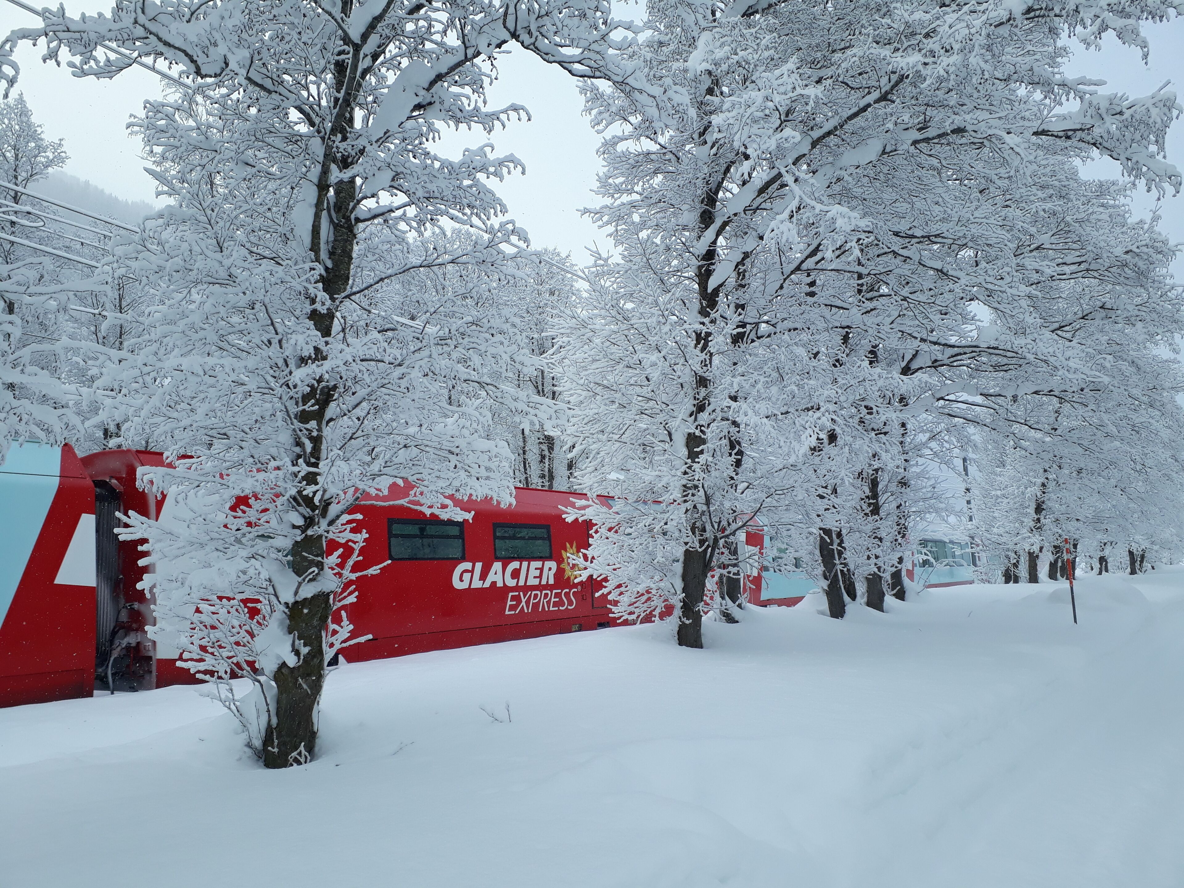 Estación del Tren Glacier Express rojo rodeada de árboles cubiertos de nieve.