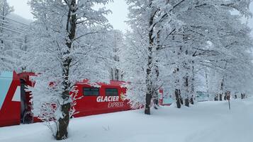 Estación del Tren Glacier Express rojo rodeada de árboles cubiertos de nieve.