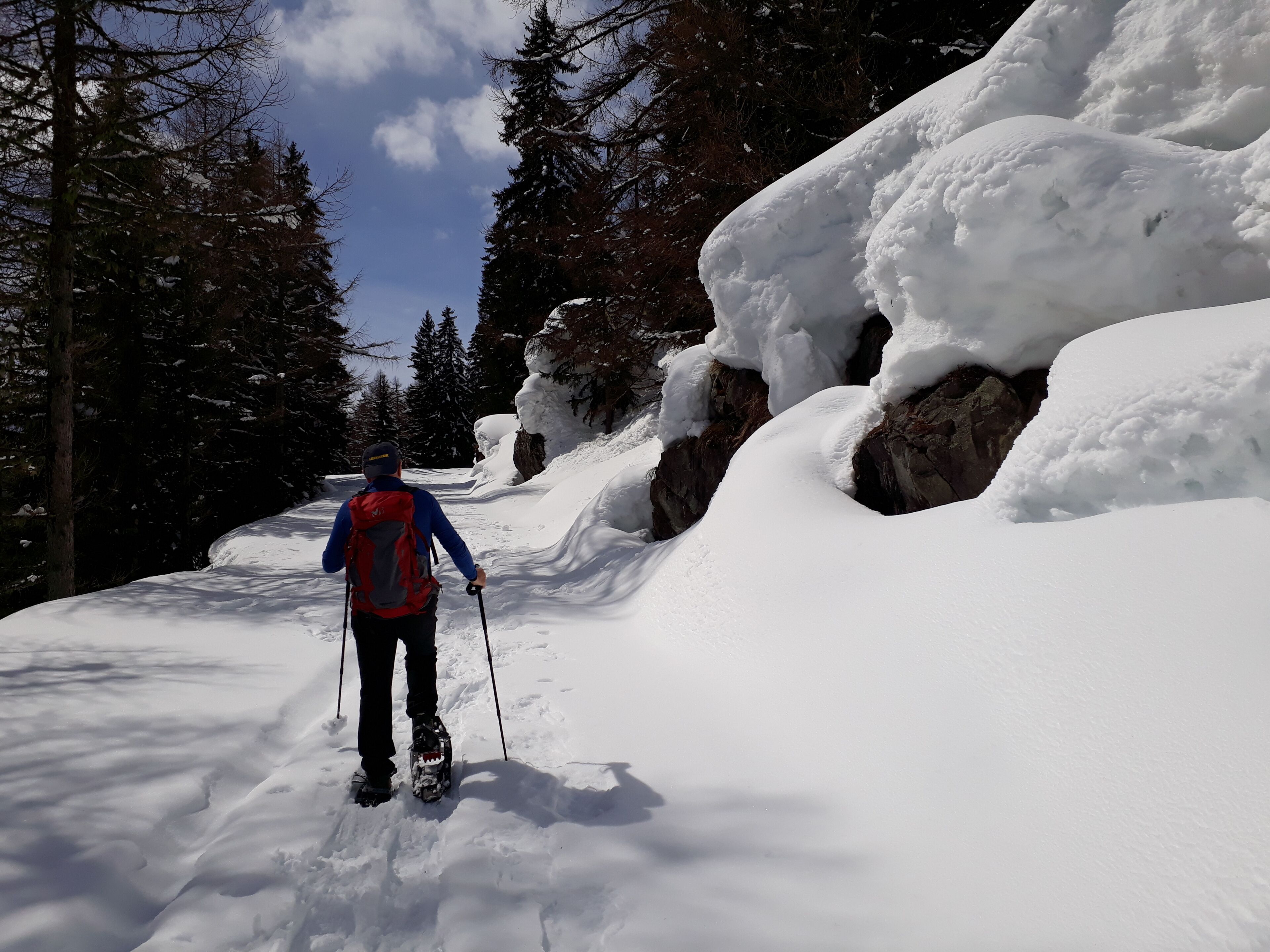 Eine Person Langlauf auf einem verschneiten Weg, umgeben von Bäumen und Felsen.