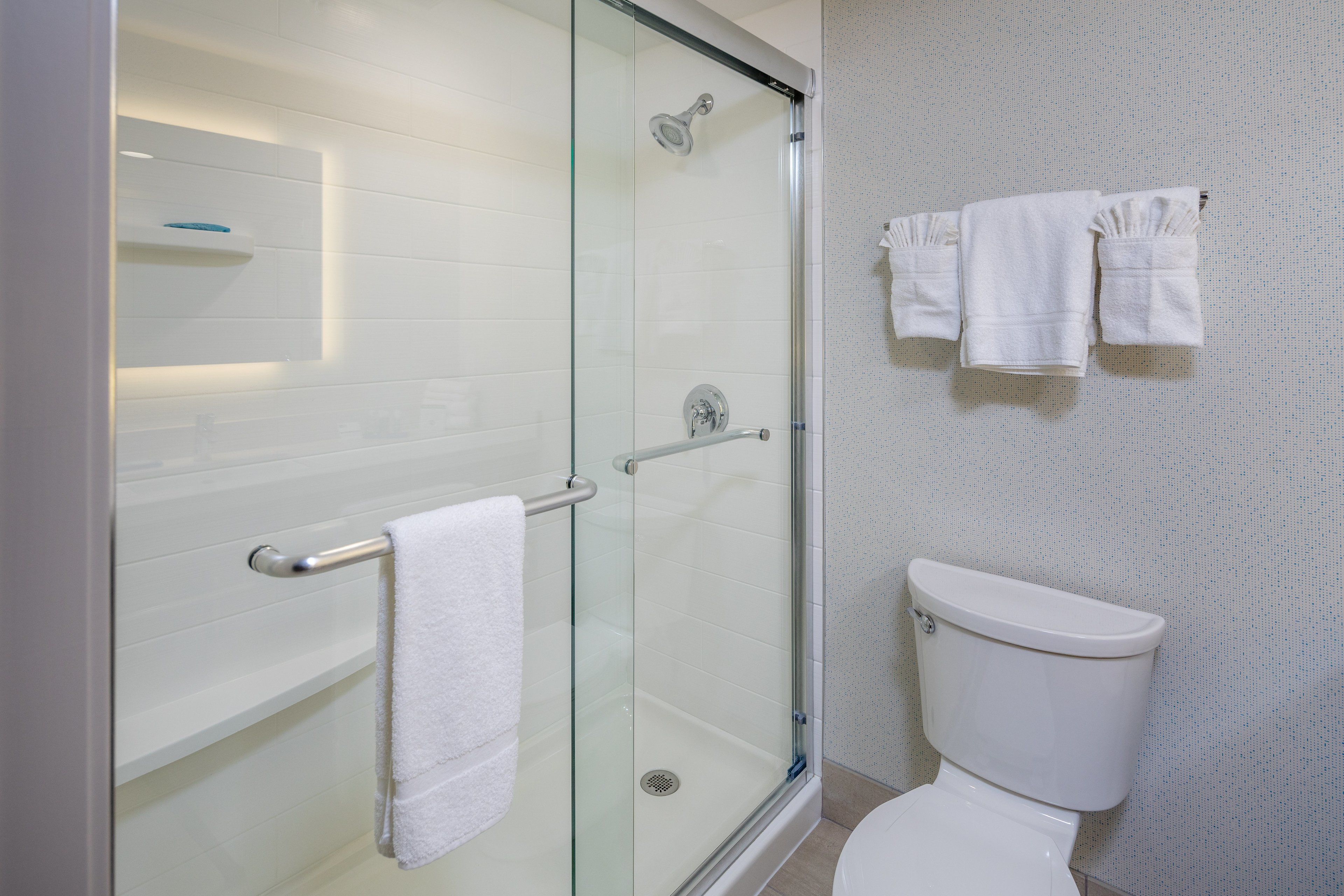 A modern bathroom with a glass-enclosed shower, a white toilet, and a towel rack with two towels.