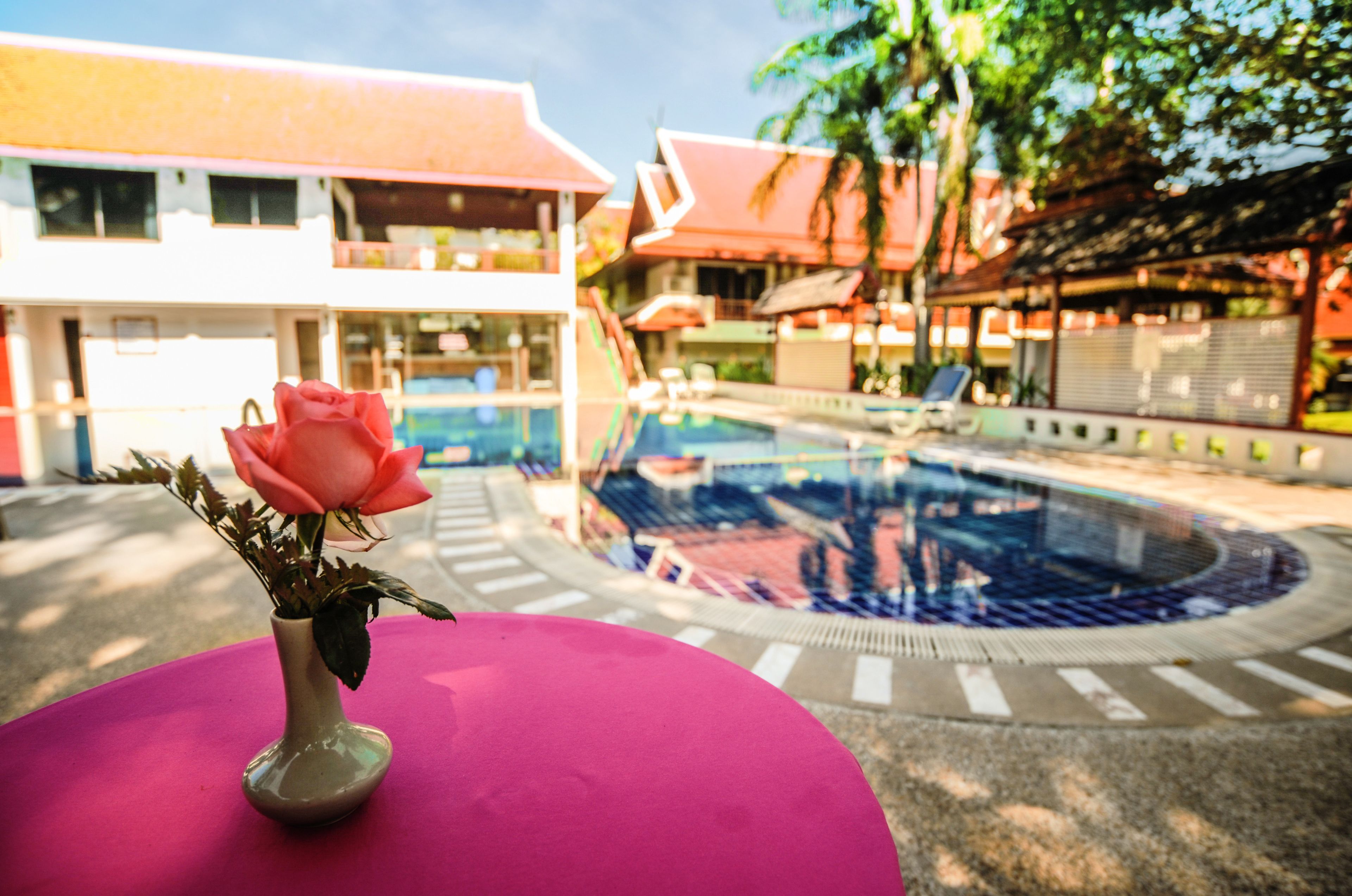 A pool area with a pink table and a vase of a pink rose.