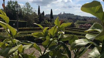 Ein Garten mit ordentlich geschnittenen Hecken und weiter Aussicht auf eine Stadt mit Gebäuden und einem Hügel.