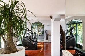 A gym with treadmills, a large potted plant, and a view of greenery through large windows.