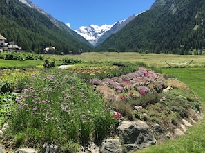 A mountainous landscape with a valley, a hammock, and a variety of flowers. - Bellevue Hotel & Spa Relais & Chateaux (Cogne)