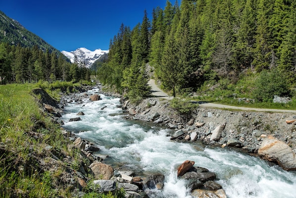 Une rivière qui traverse une zone boisée, avec une montagne en arrière-plan.