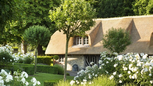 Une maison traditionnelle à toit de chaume, entourée de jardins bien entretenus et de plantes à fleurs blanches.