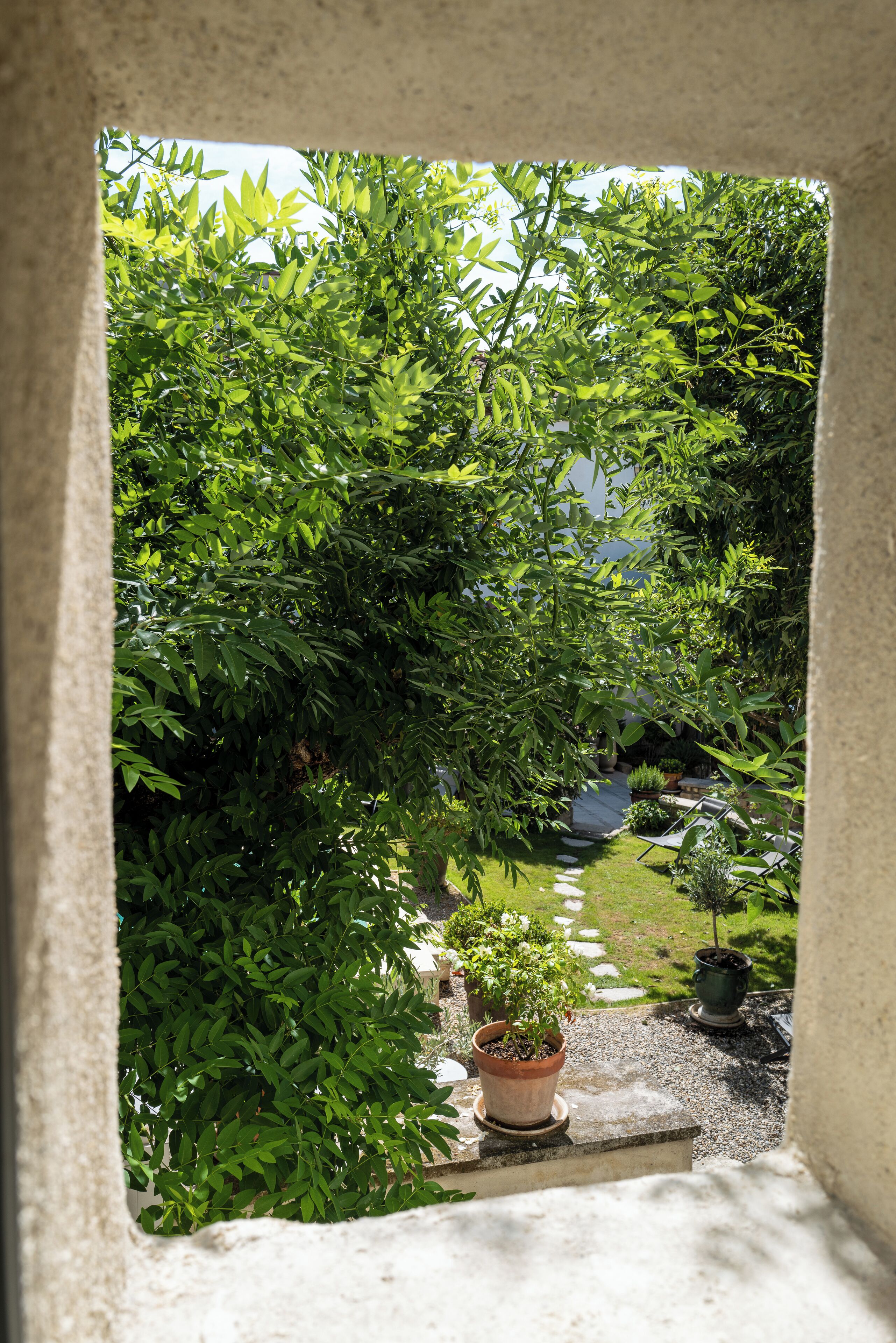 Une vue à travers une fenêtre sur un jardin luxuriant, avec des plantes en pot et un petit sentier.