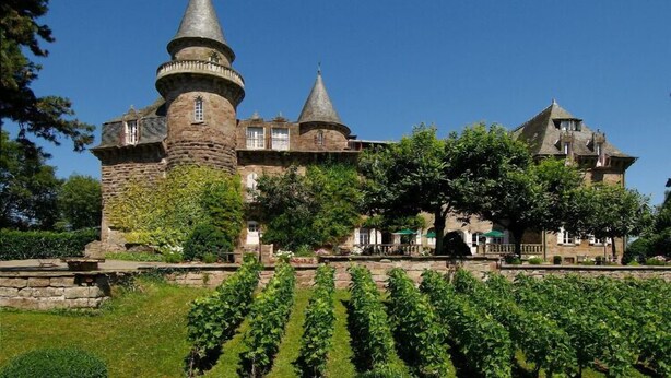 A historic castle with multiple towers, surrounded by lush greenery and a vineyard. - Chateau de Castel Novel (Saint-Pantaleon-de-Larche)