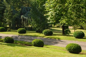 Tennis court