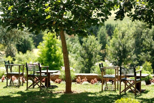 Garden - Chateau de Castel Novel (Saint-Pantaleon-de-Larche)
