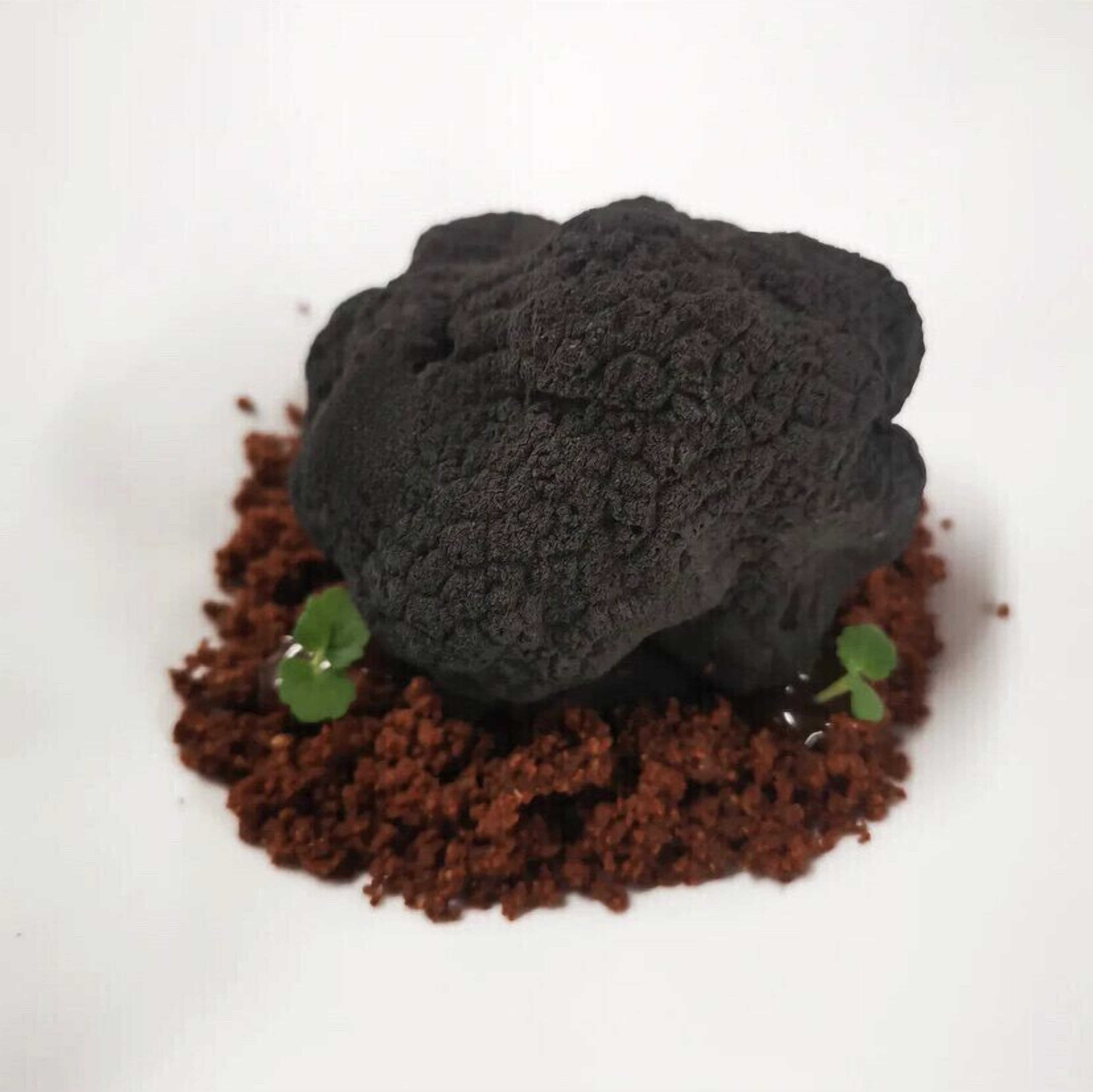 A dessert on a white plate with a dark, textured topping and a crumbly base, accompanied by small green leaves.