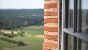 Una ventana que ofrece vistas a un muro de ladrillo y un paisaje.