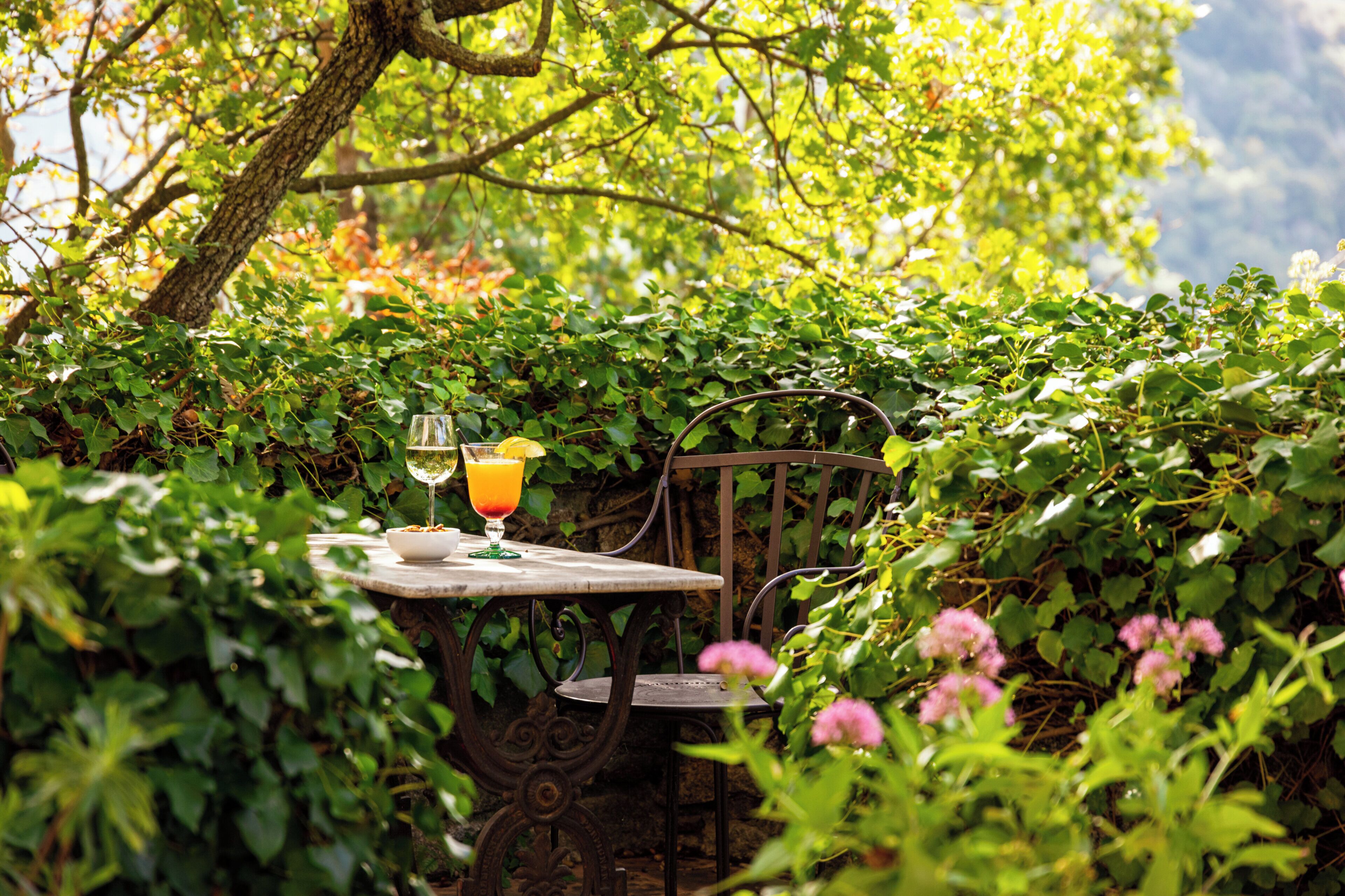 A table with a glass of orange juice and a glass of white wine, surrounded by greenery.