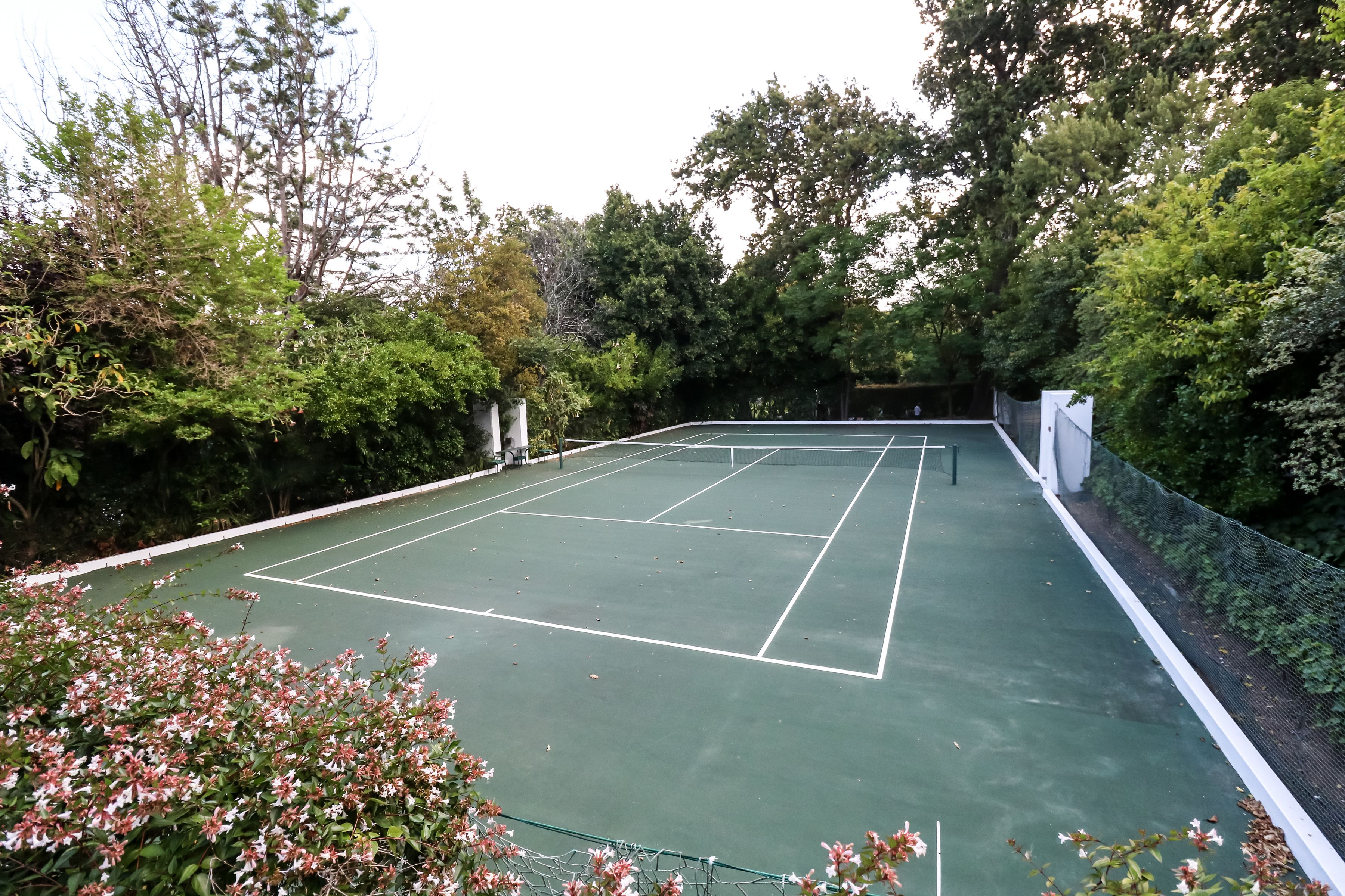 A tennis court surrounded by dense foliage and trees.
