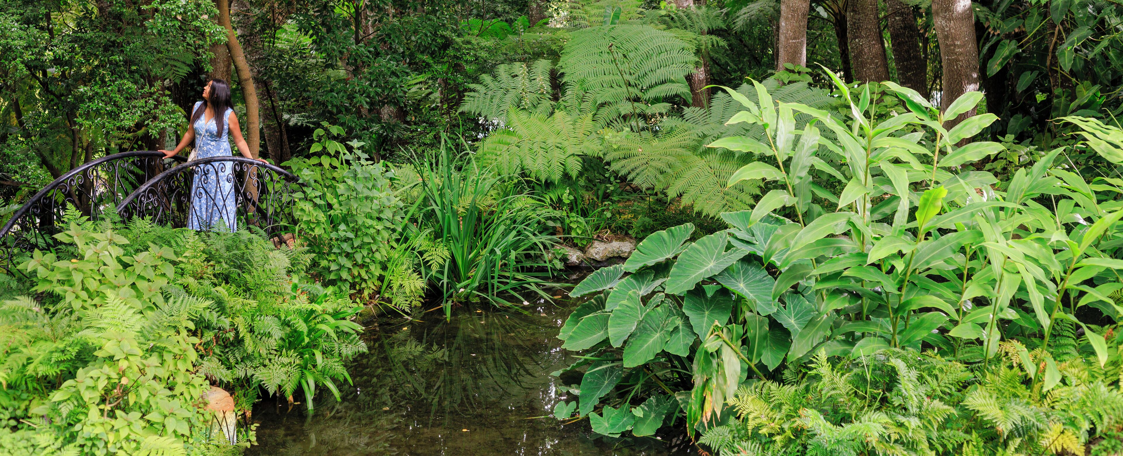 A lush garden with a small pond, dense foliage, and a metal bridge.