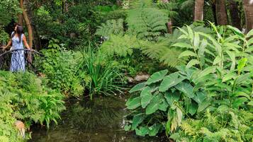 A lush garden with a small pond, dense foliage, and a metal bridge.