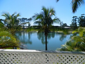 View from room - Isle of Palms Resort (Elanora)