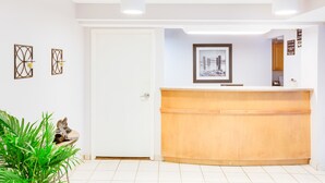 Aula, jossa on puinen vastaanottotiski, kehystettyjä taideteoksia ja ruukussa oleva kasvi.