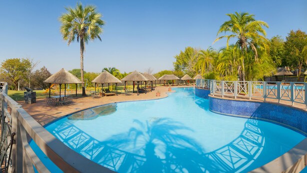 A swimming pool with a blue tiled border, surrounded by lounge chairs and thatched umbrellas, with palm trees and a clear sky in the background. - Elephant Hills Resort (Victoria Falls)