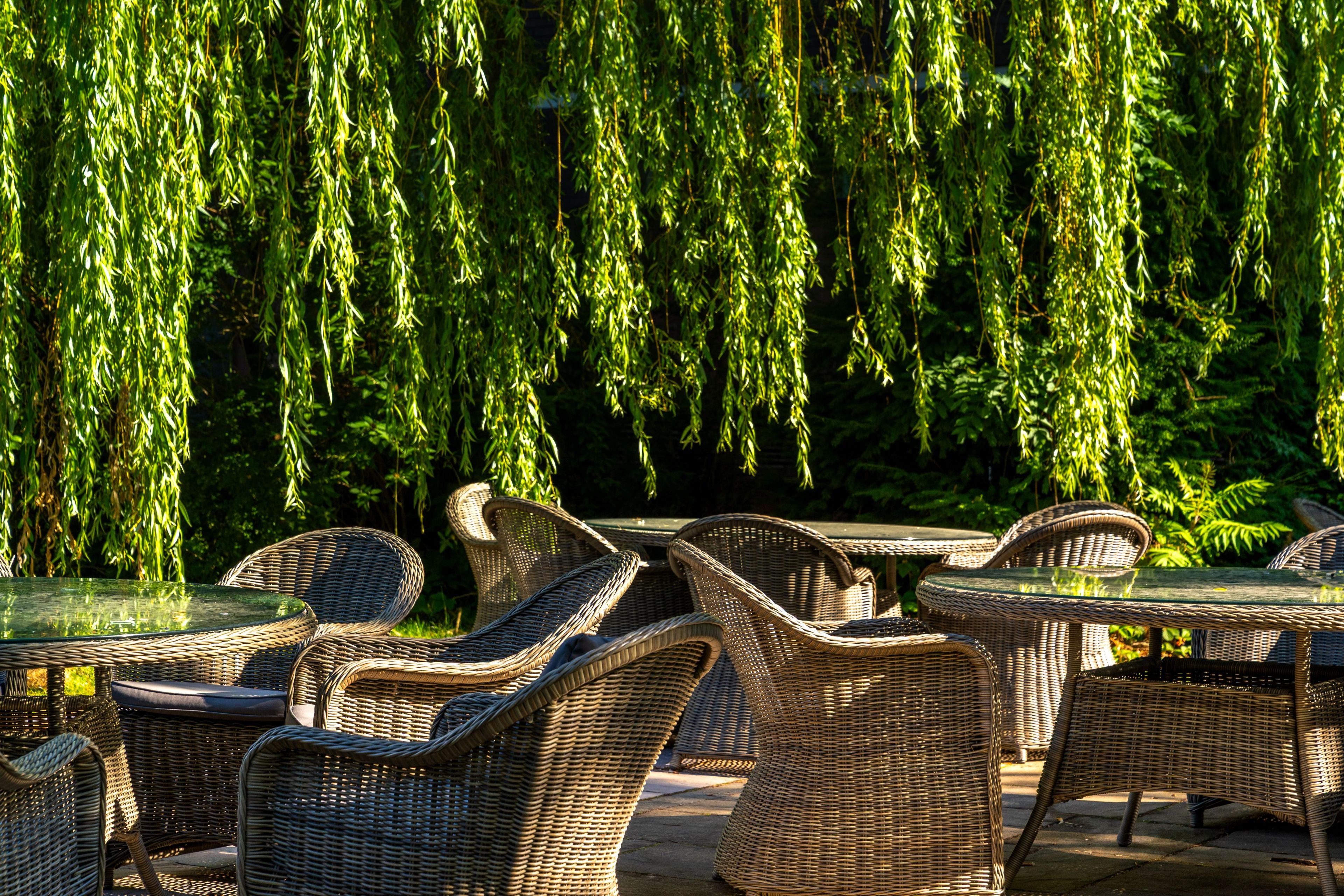 Wicker furniture with glass tops arranged outdoors, surrounded by hanging green foliage.