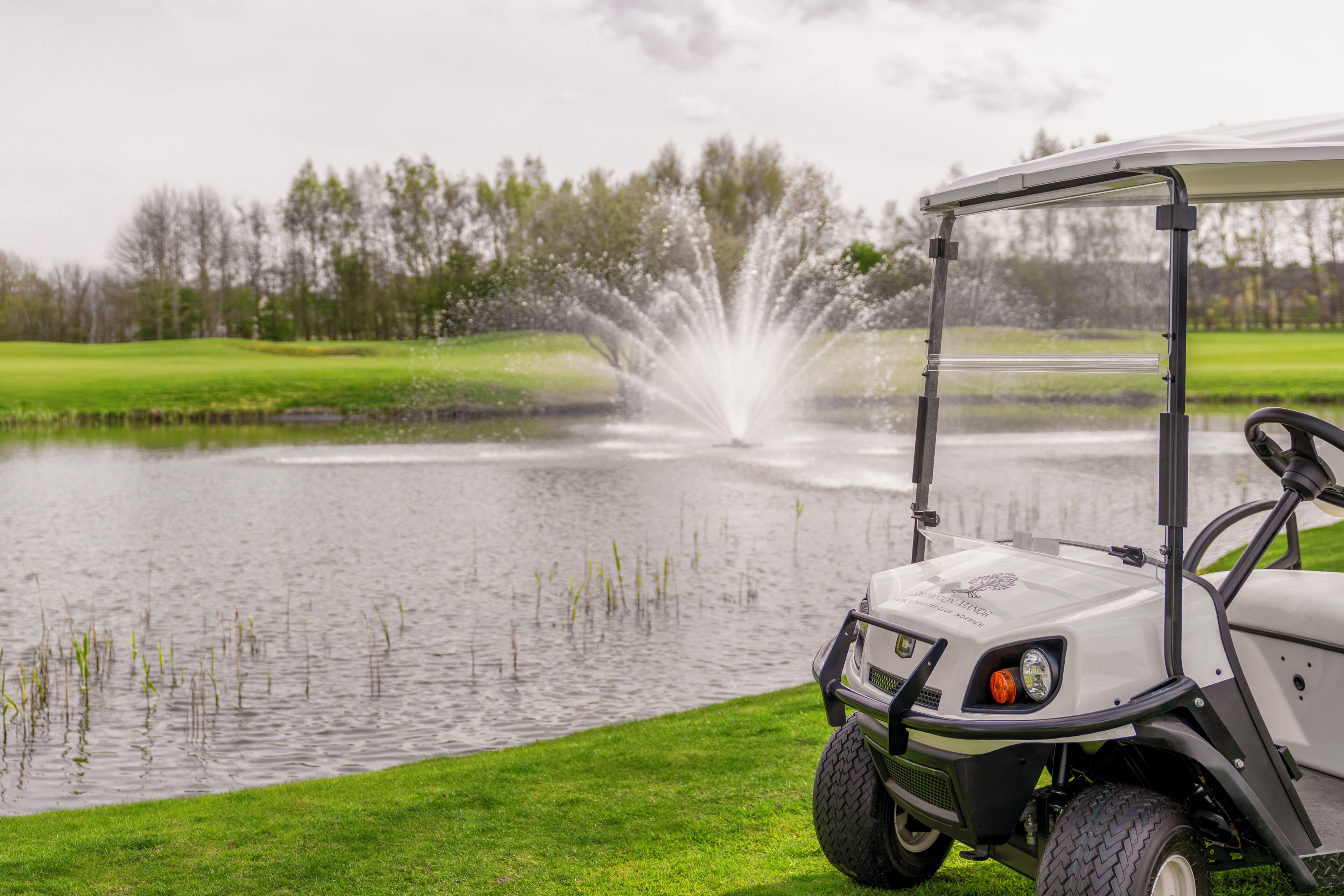 A golf cart near a pond with a fountain, surrounded by a grassy area and trees.