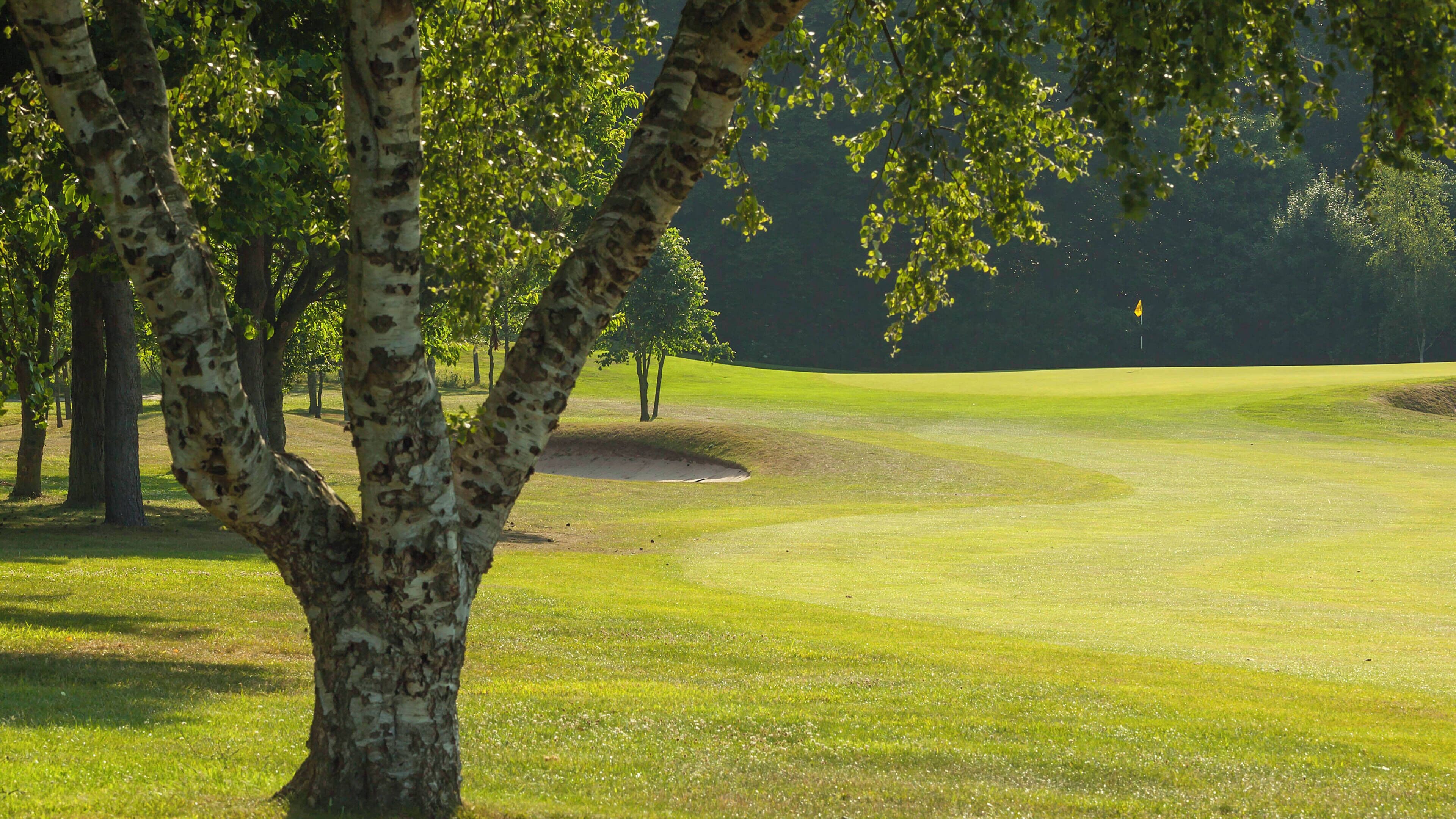 Un campo de golf con árboles, un búnker de arena y una bandera.
