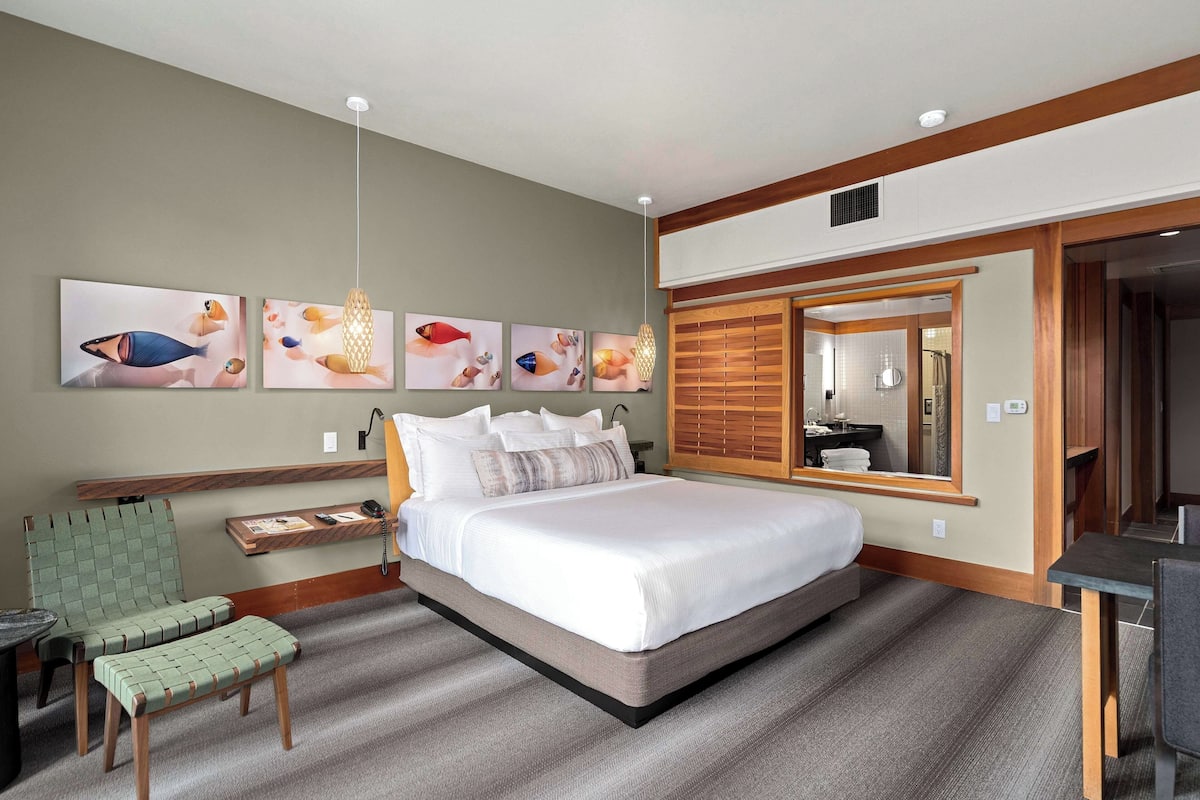 Room, 1 King Bed (Nice)