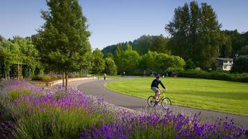 A cyclist on a paved path with purple flowers in the foreground, surrounded by trees and a grassy area.
