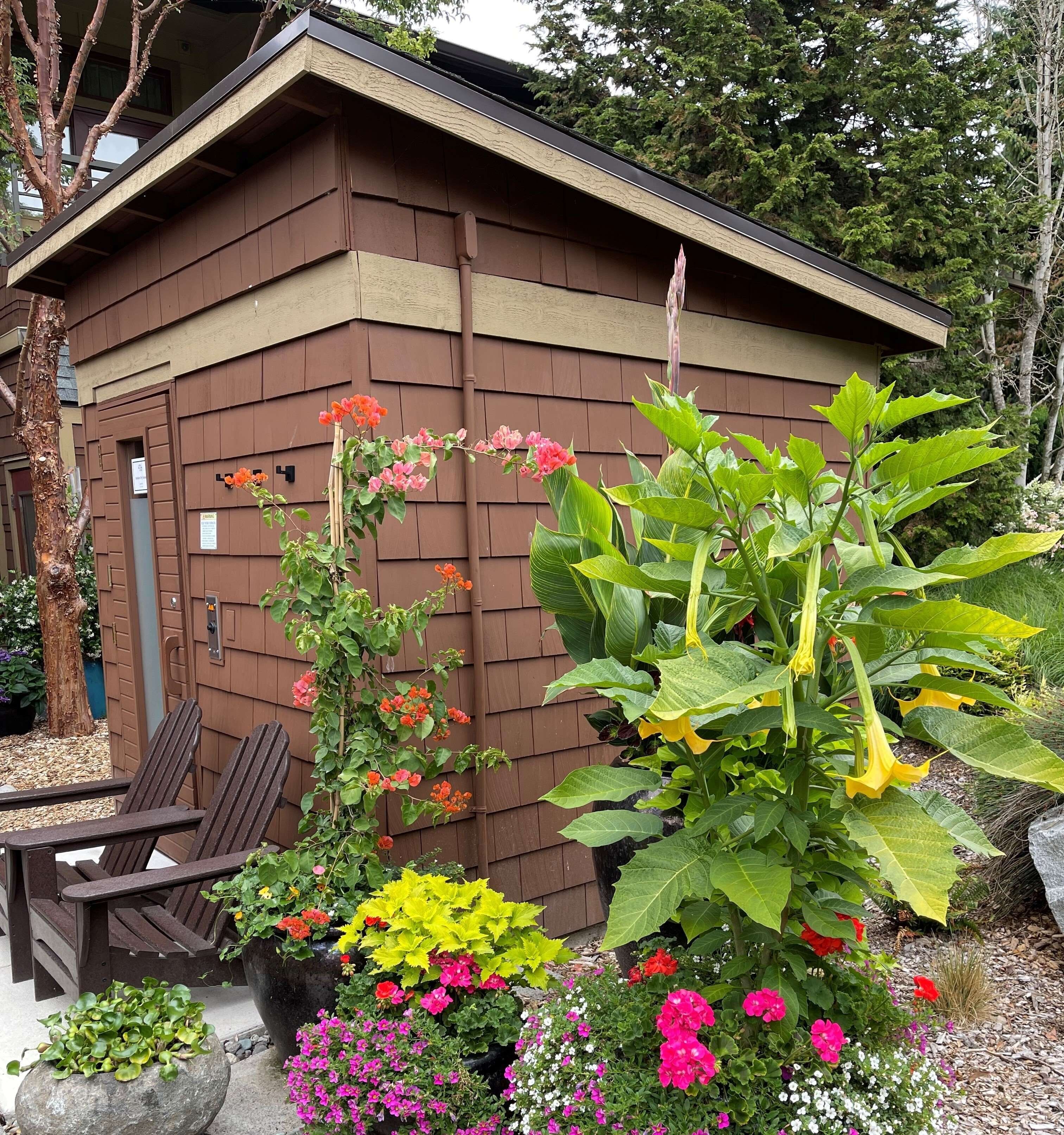 Un bâtiment en bois doté d’un toit en pente, entouré de différentes plantes et fleurs en pot.