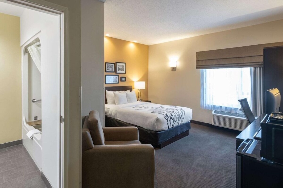A hotel room with a bed, a desk, a chair, a TV, and a window with curtains.