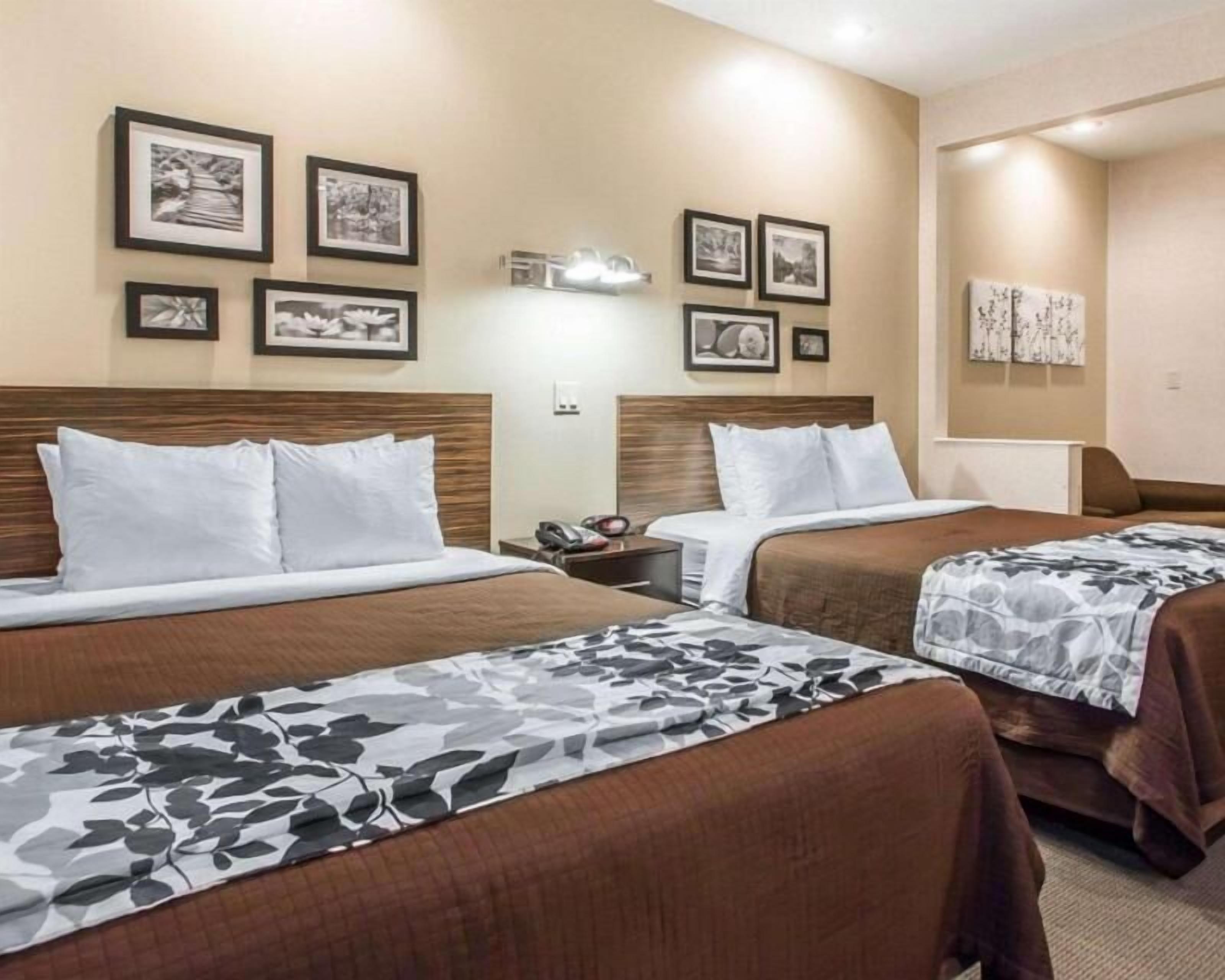 Premium bedding, pillow-top beds, in-room safe, desk